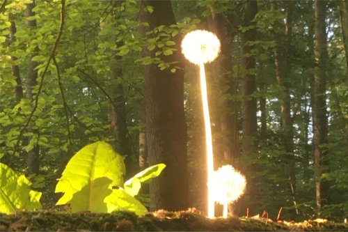 Brief Description of Picture.